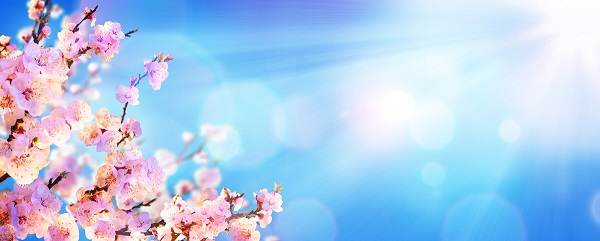 戰疫情，北京韋林公司全體員工齊心協力共克時艱！